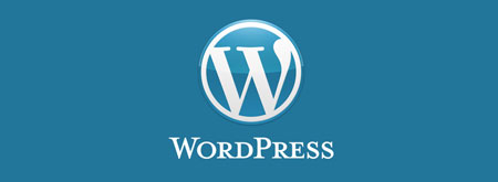 Wordpress customizations